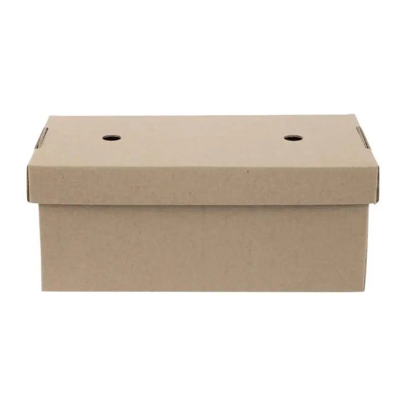 Closed Gourmet Kraft Large Burger Box biodegradable with ventilation holes for freshness