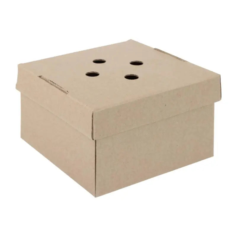 Square cardboard box with ventilation holes for Gourmet Kraft Small Burger Box