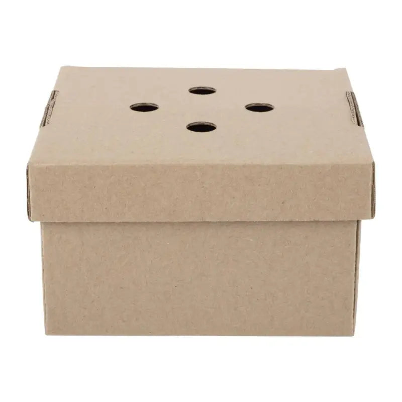 Cardboard box with ventilation holes for Gourmet Kraft Small Burger Box eco-friendly use