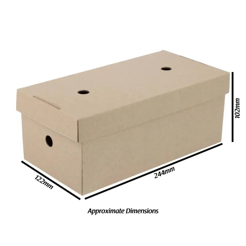 Rectangular Gourmet Kraft Large Burger Box Biodegradable with dimensions displayed