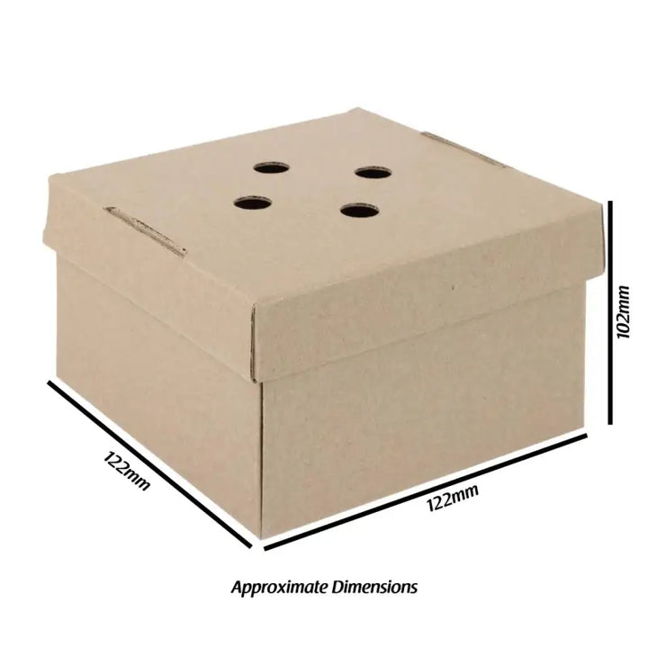 Square cardboard gourmet kraft small burger box with ventilation holes for freshness