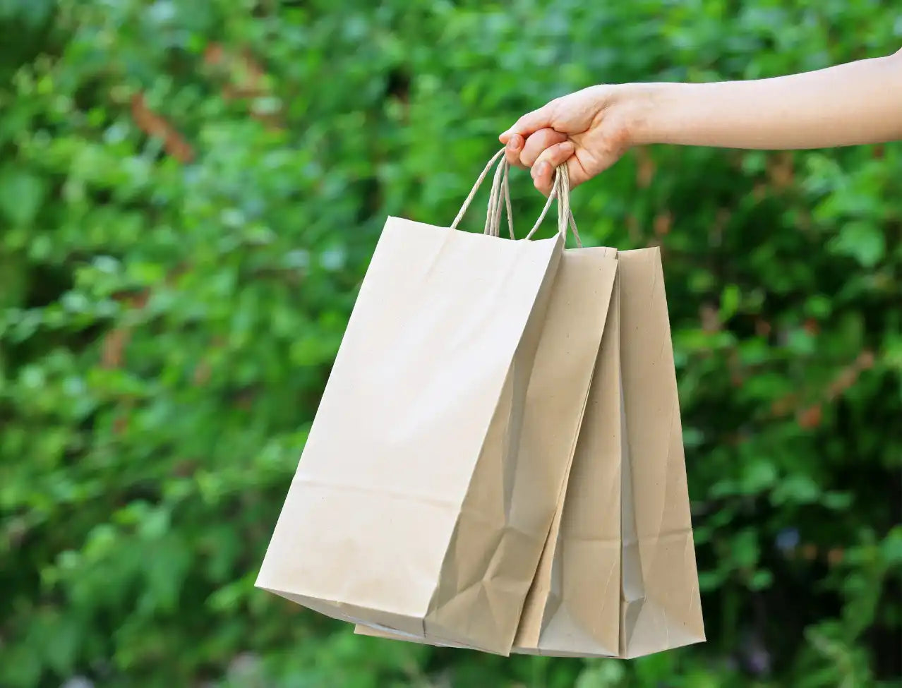 Hand holding brown paper shopping bags with handles.